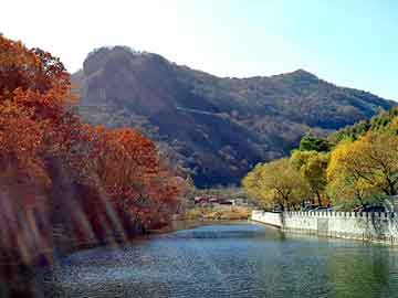 黑枸杞种植生长周期几年,黑枸杞种植生长周期几年一次